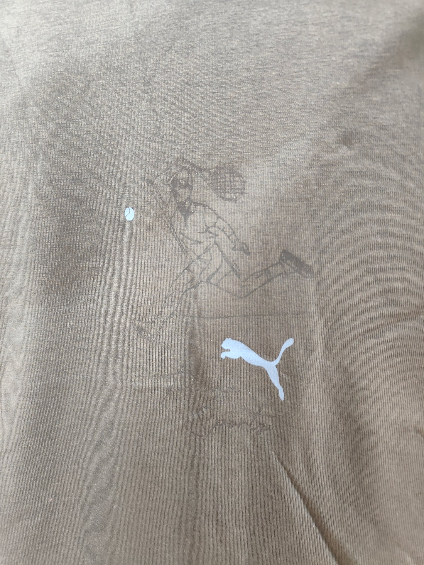 Puma Team Graphic Men's T-Shirt (Mineral Grey)
