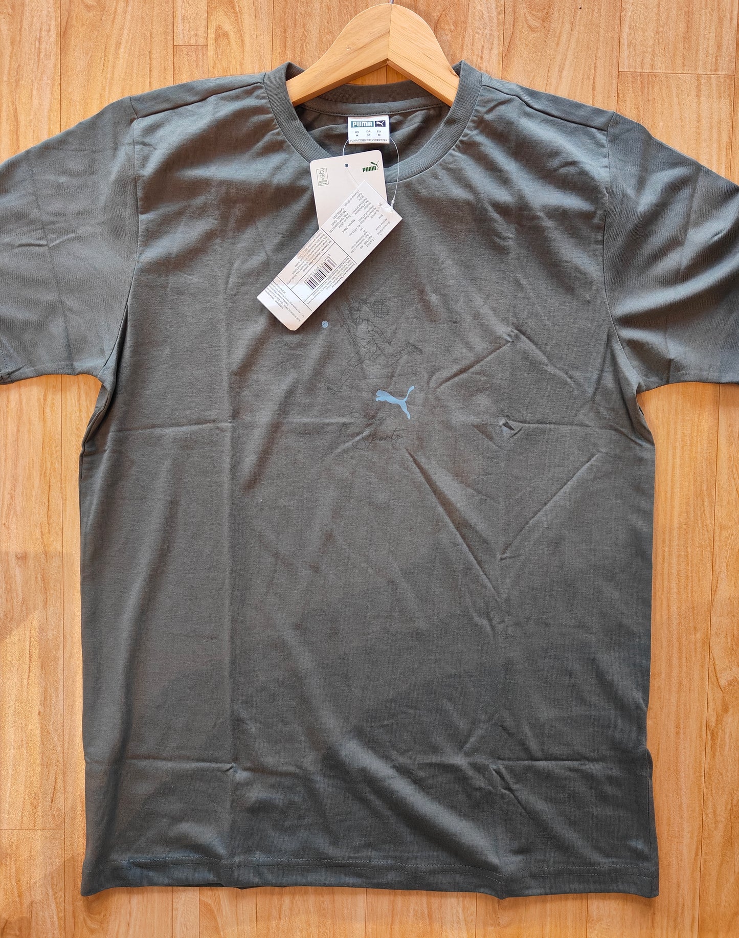 Puma Team Graphic Men's T-Shirt (Mineral Grey)