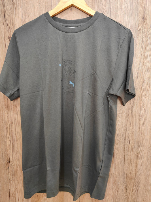 Puma Team Graphic Men's T-Shirt (Mineral Grey)