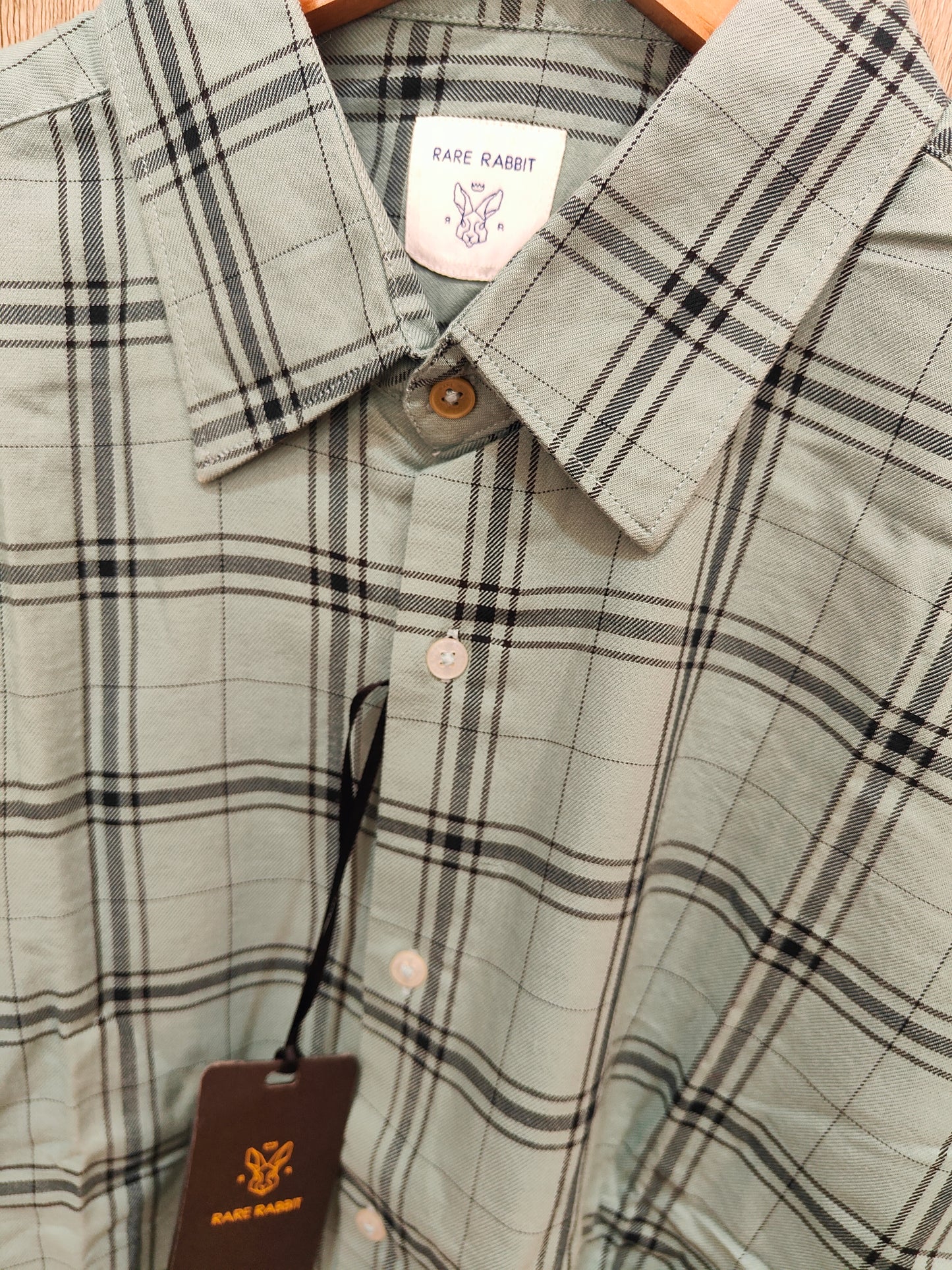 Rare Rabbit Men’s Check Casual Shirt (Sage Green)